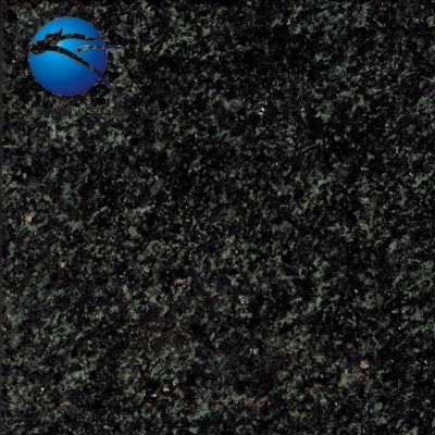 Longtops New Arrival High Quality Black Galaxy Granite